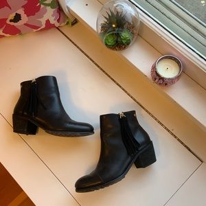 Black Leather Pikolinos Booties